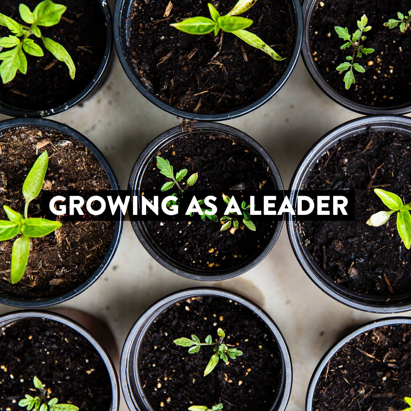 Growing as a Leader - Week One