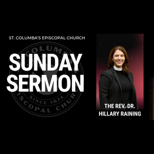 Sunday Sermon The Rev. Dr. Hillary Raining (January 11, 2026)