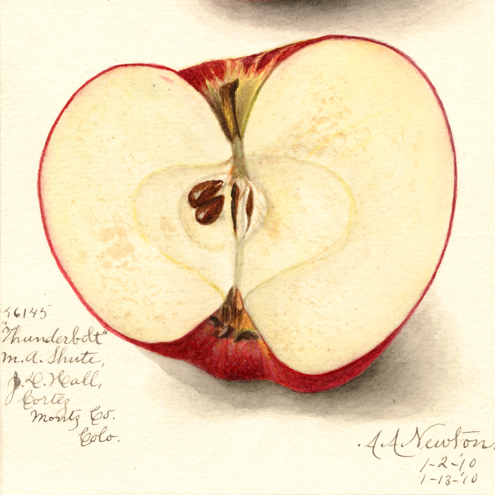 The Fruit Wizard of Montezuma County