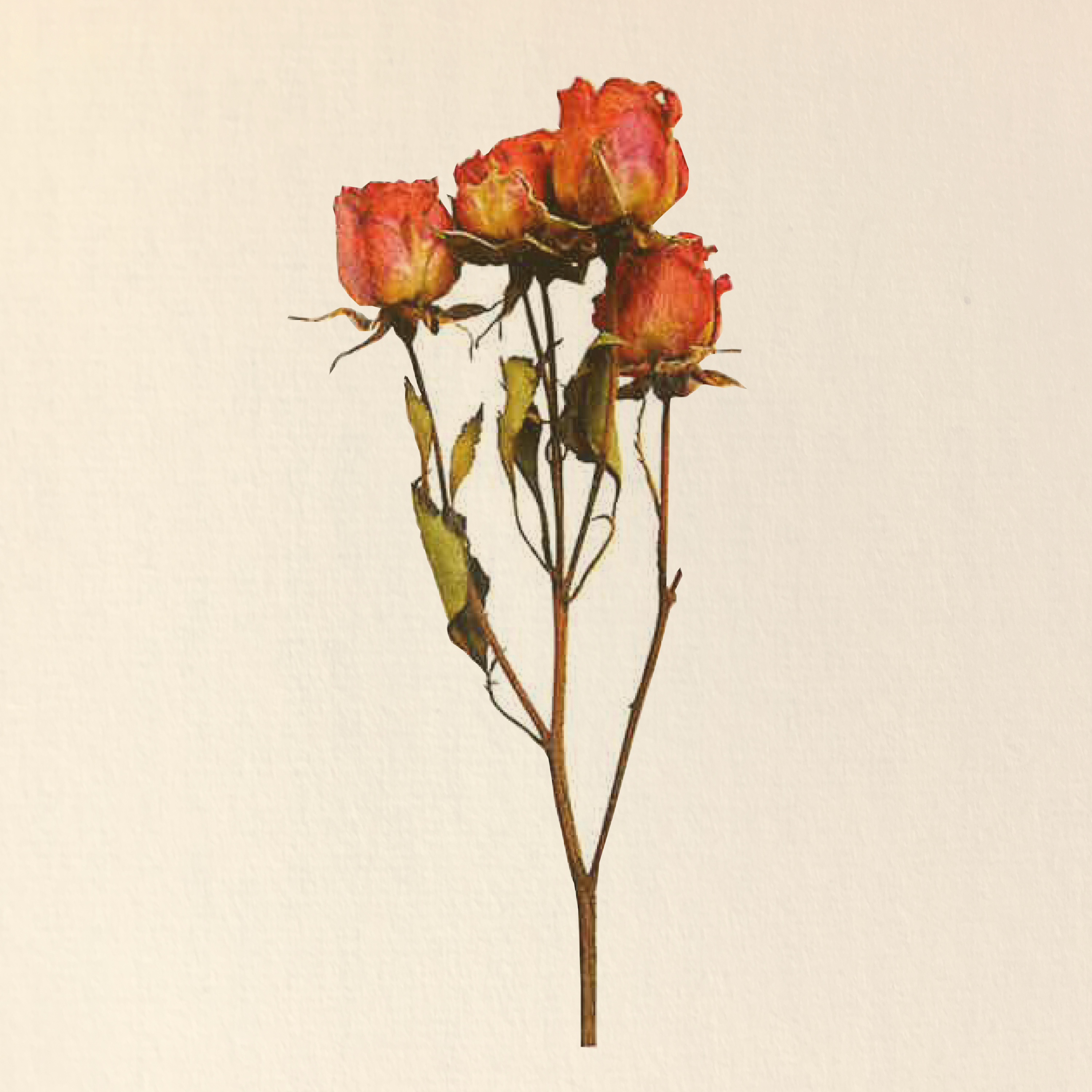 A Close Encounter With Nearly Forgotten History