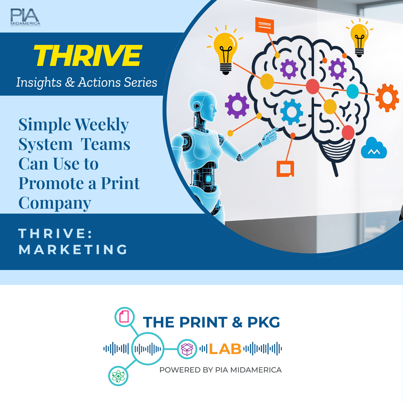 Ep. 12 | Marketing Without a Marketing Department | THRIVE: MARKETING episode artwork