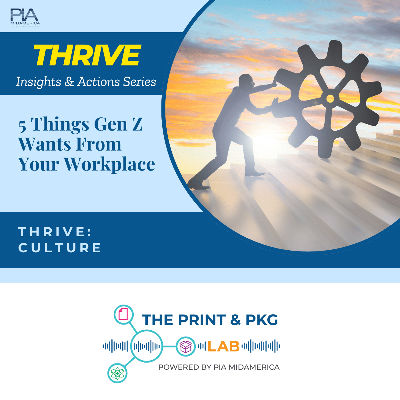 Ep. 20 | What Gen Z Wants at Work | THRIVE: CULTURE episode artwork