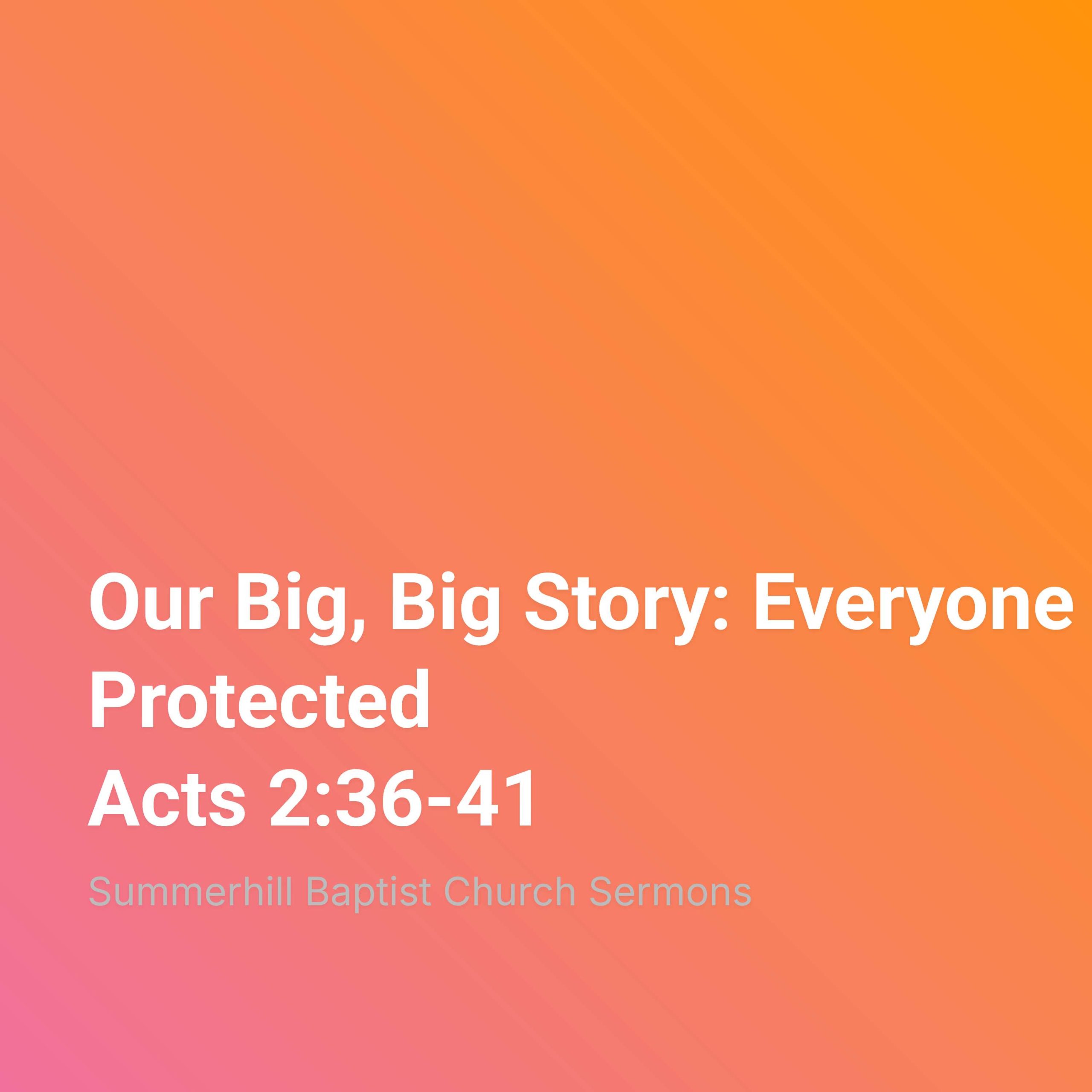 Our Big, Big Story: Everyone Protected episode artwork