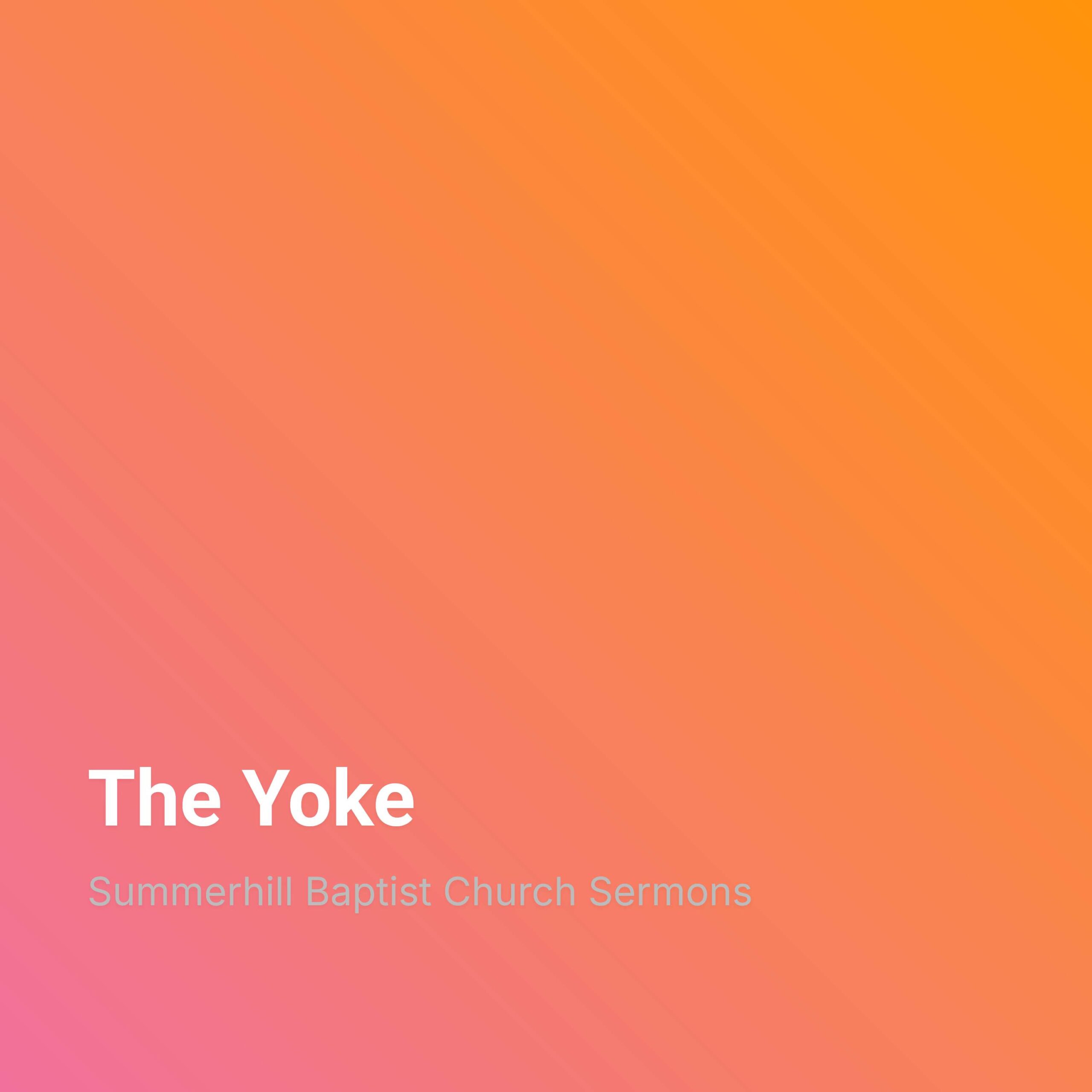 Episode Cover