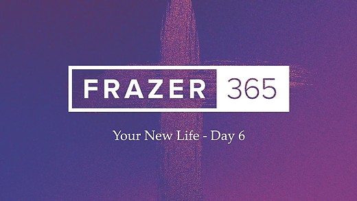 Your New Life - Day 06