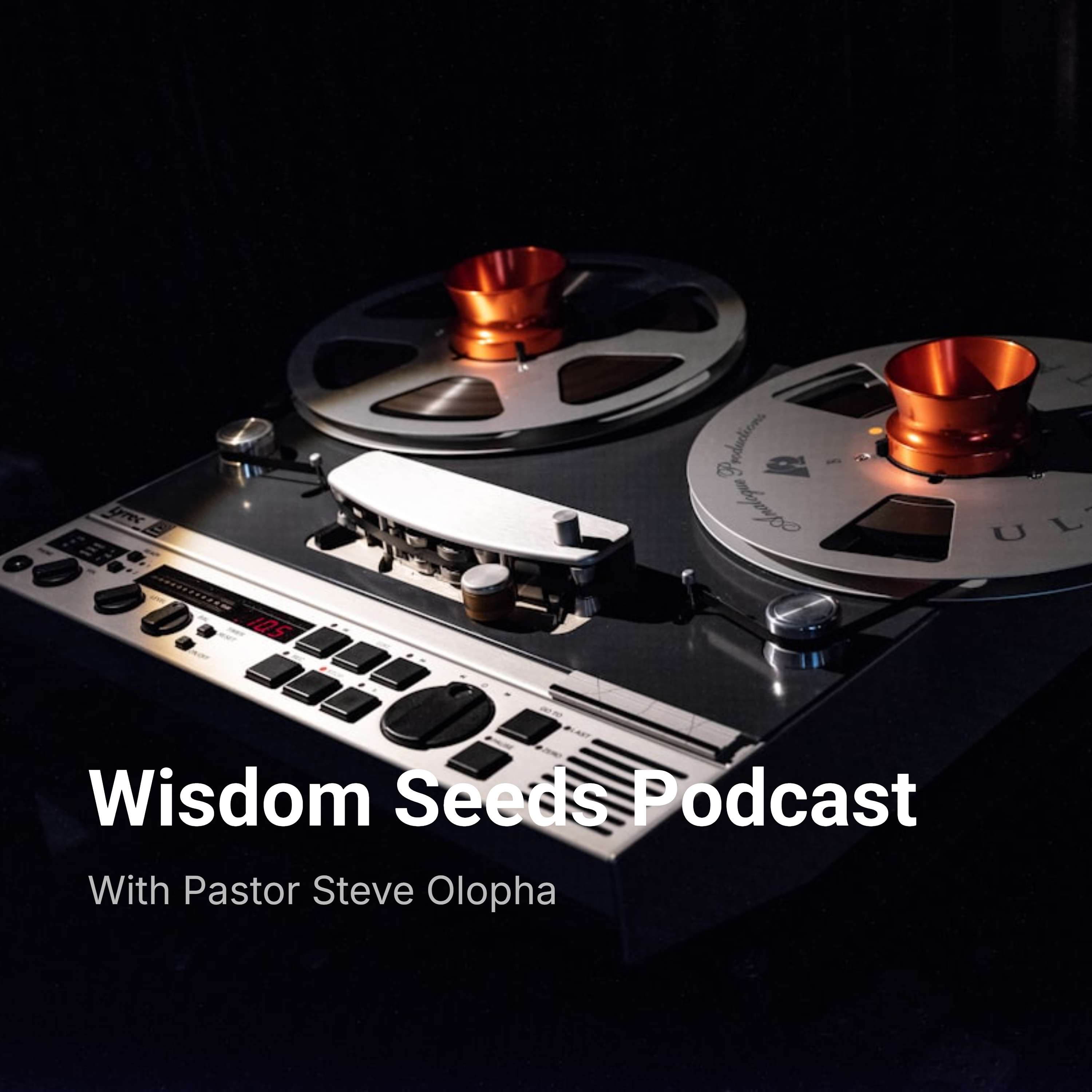 Wisdom Seeds Podcast