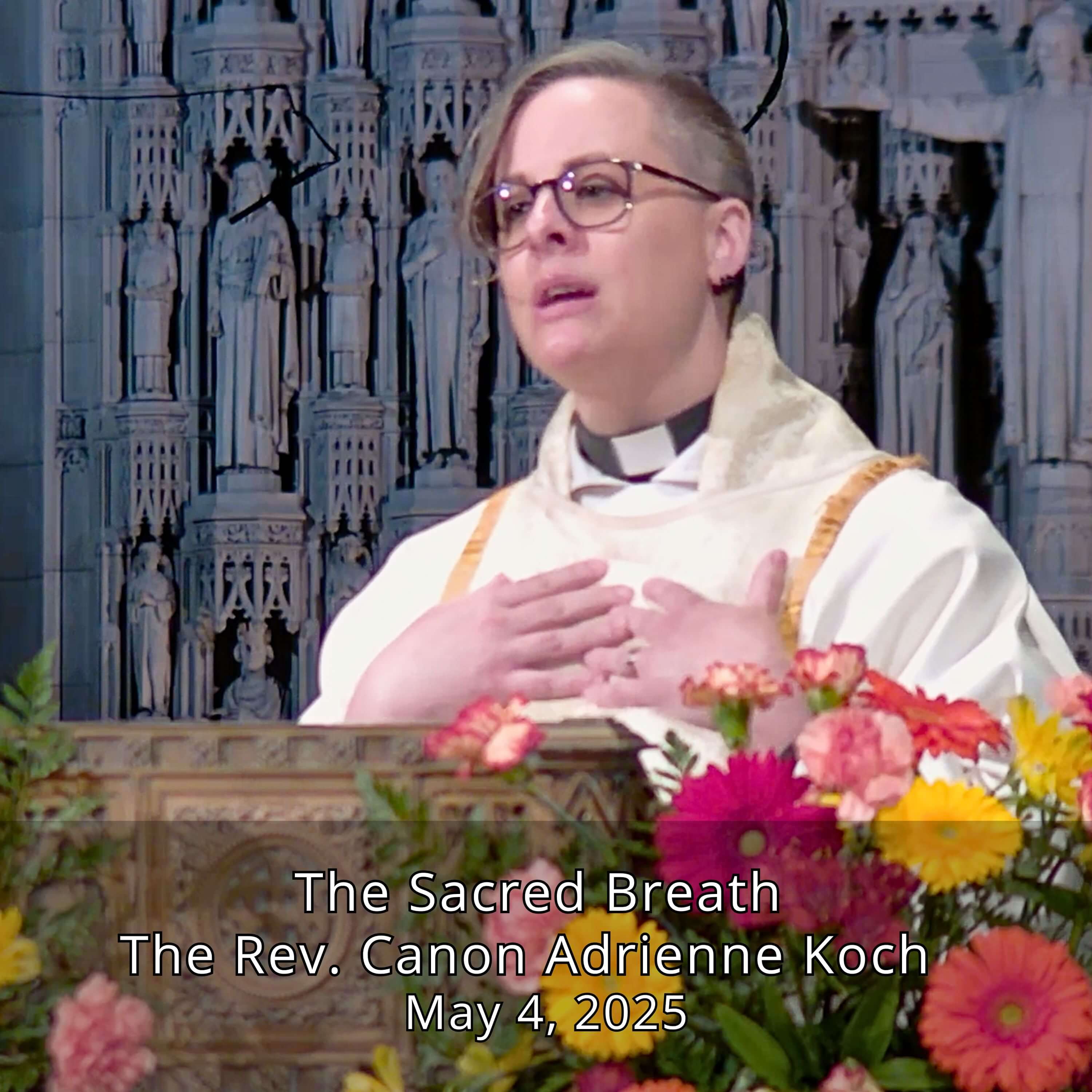 Episode Cover
