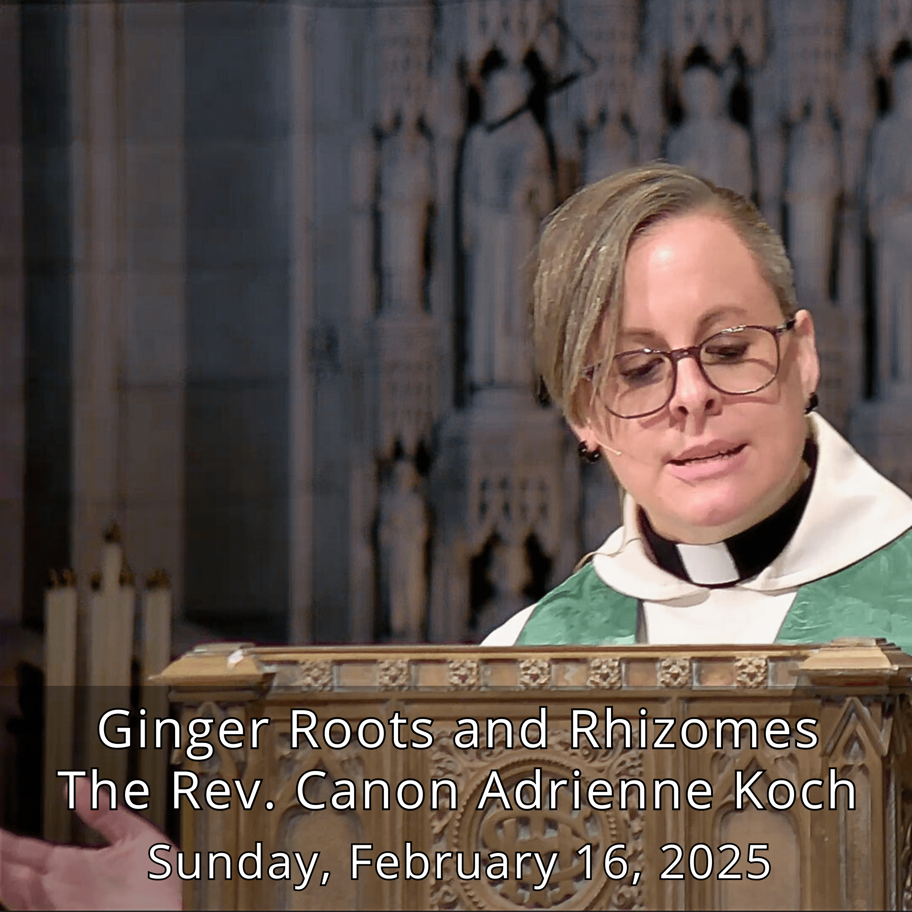 Ginger Roots and Rhizomes