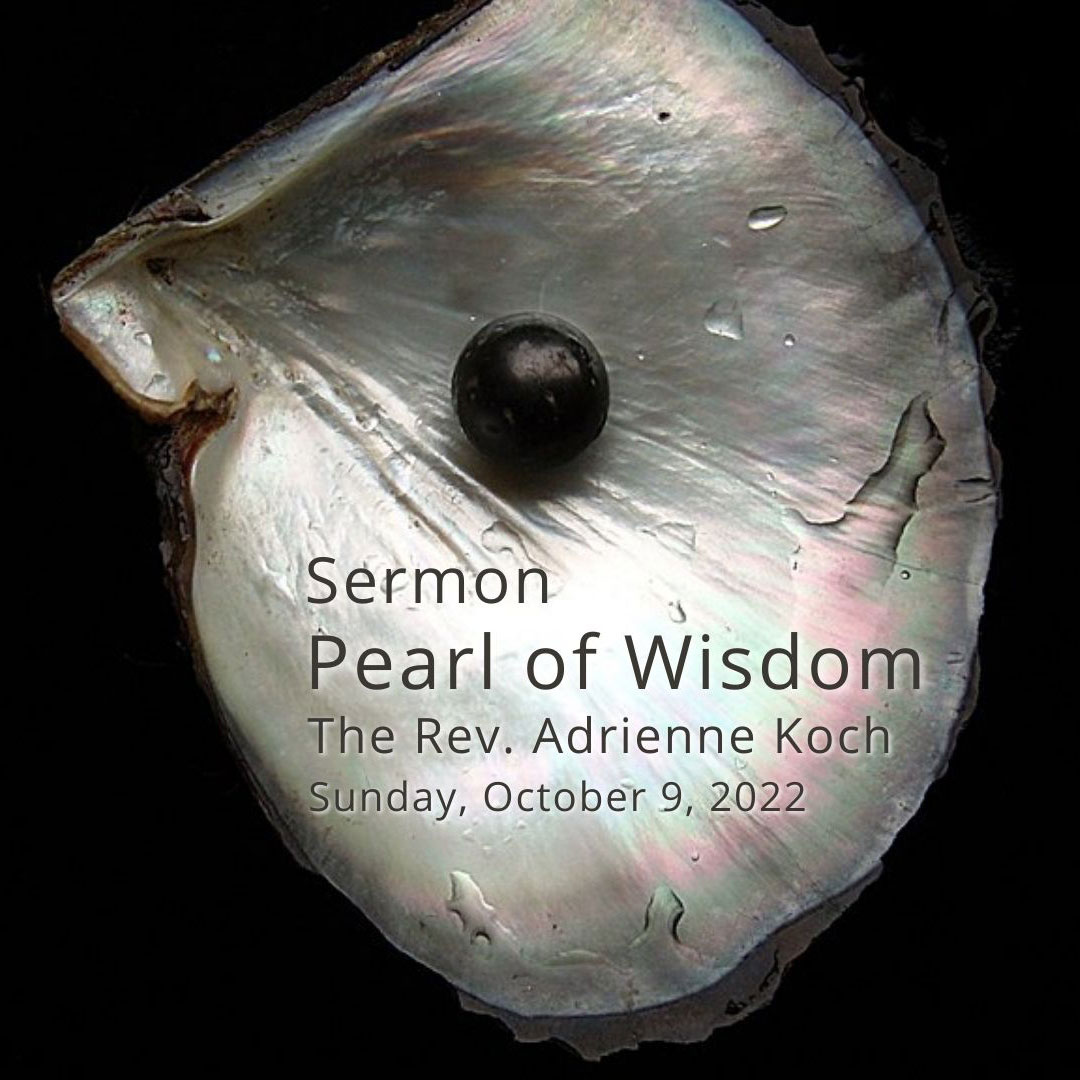Pearl of Wisdom
