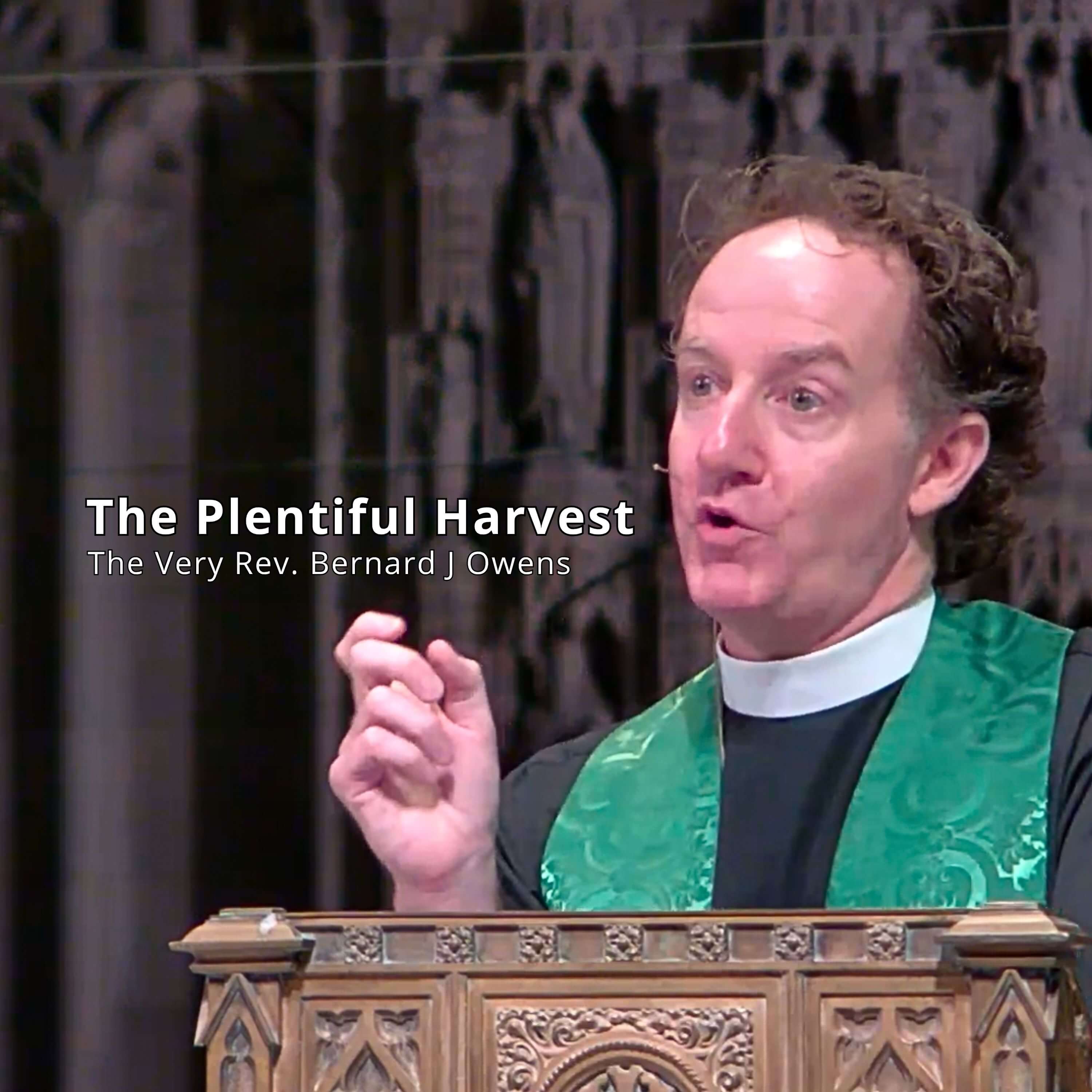 The Plentiful harvest