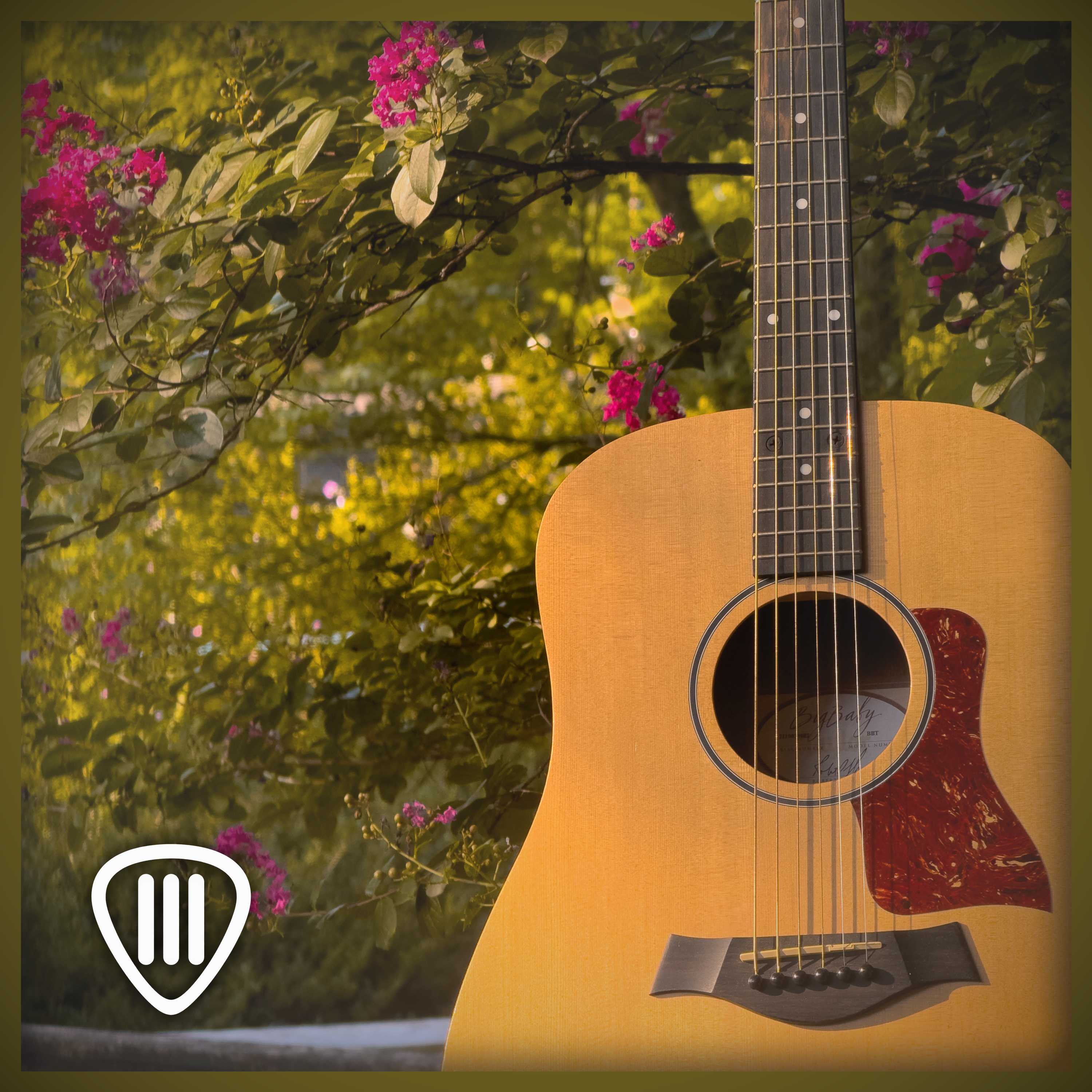 Portada de Cuerdas Libres Guitarra Libre de Regalías