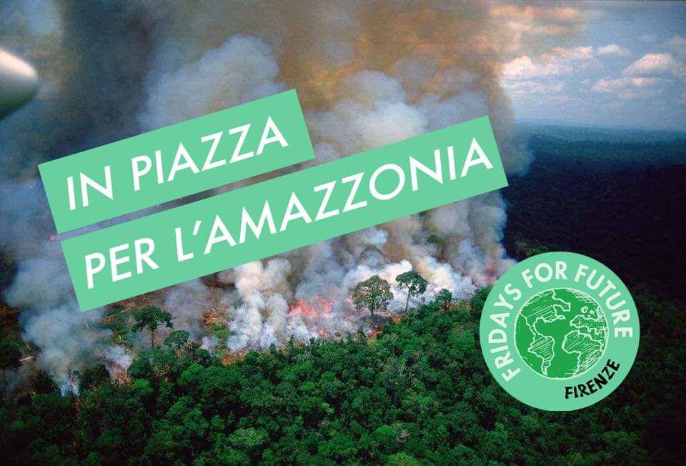 SOS Amazzonia: fermiamo la strage di foresta!