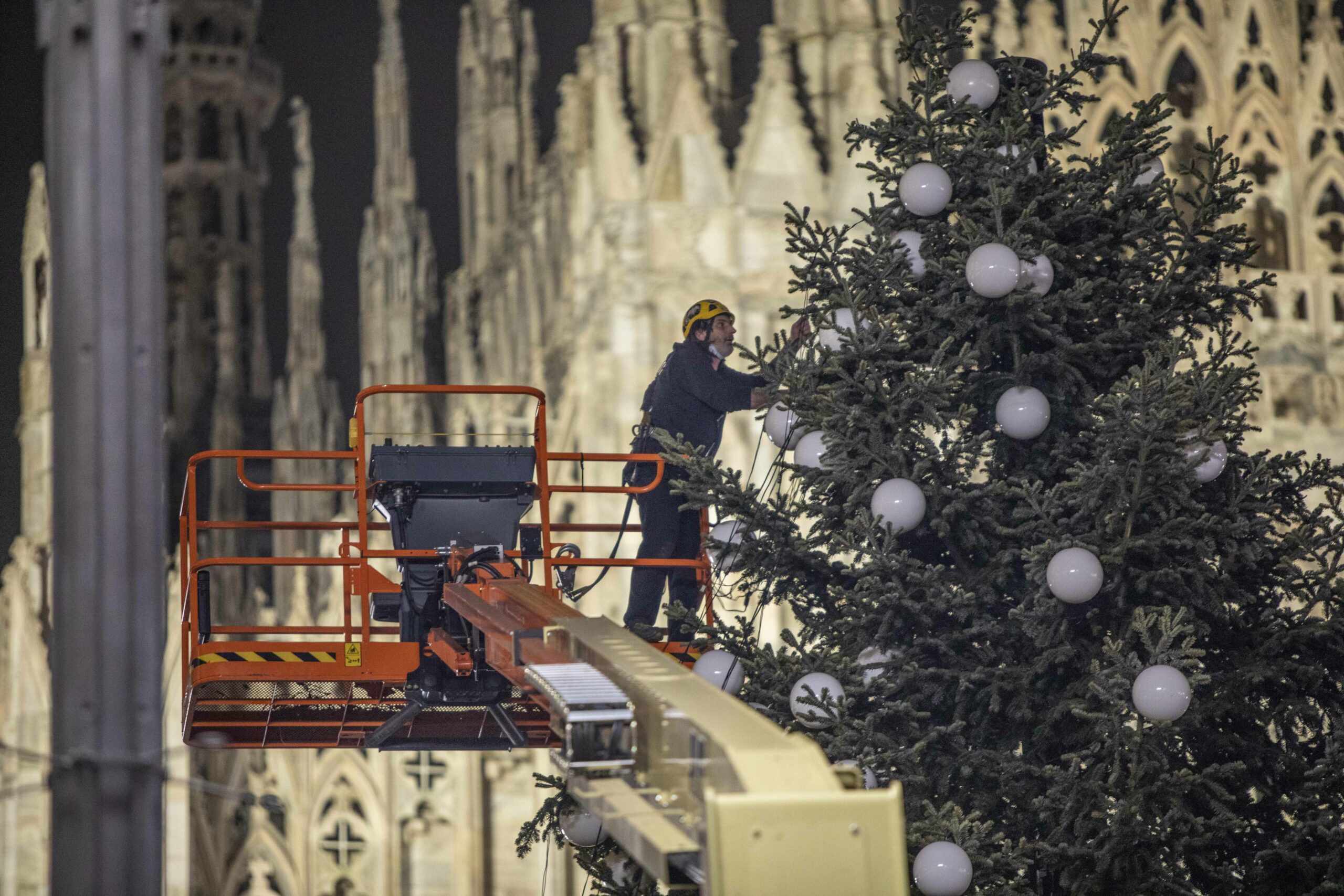 "Se volete bene alla natura comprate un albero di Natale vero"