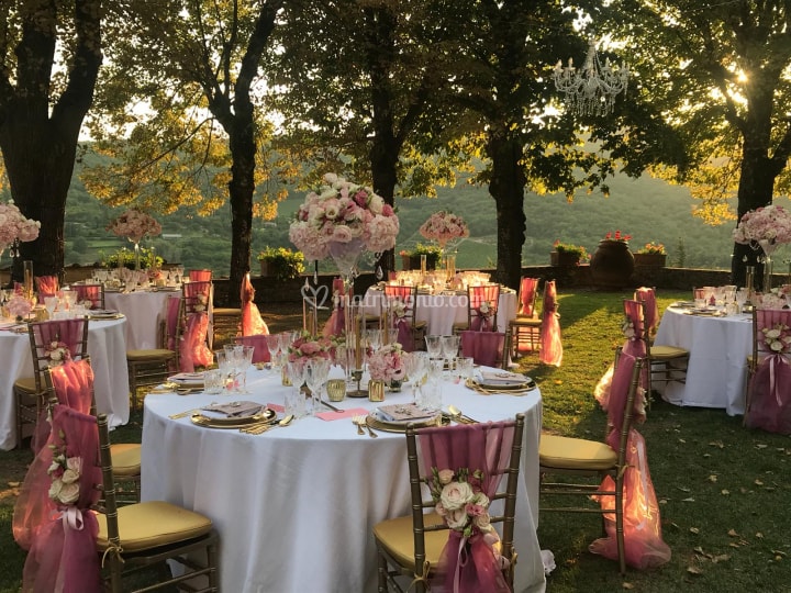 Fase 2. Manca protocollo peri matrimoni