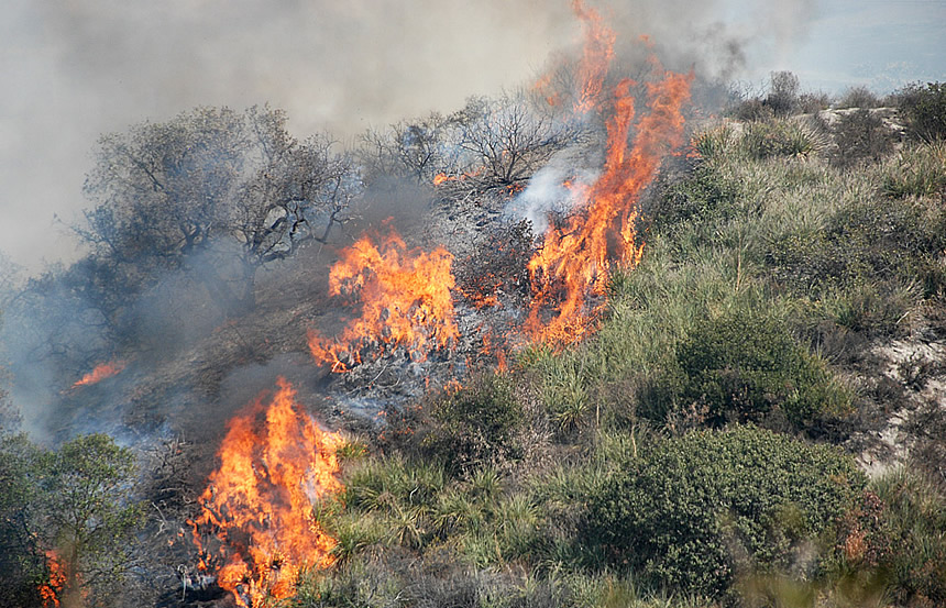 Prevenzione incendi. Marco Remaschi