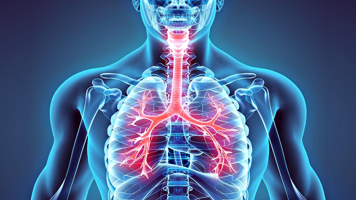 Cnr, in zone Pisa +152% mortalità per malattie respiratorie