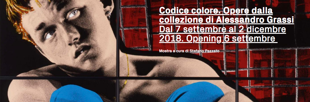 Codice Colore. Intervista a Stefano Pezzato