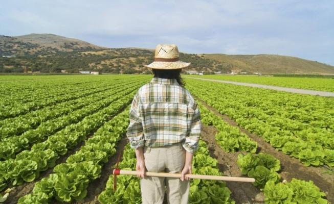 I giovani toscani e il ritorno ‘consapevole’ alla terra