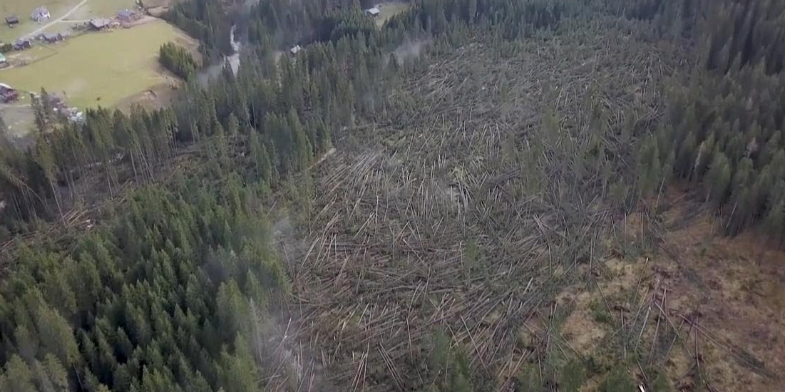 &#8216;Ecatombe&#8217; foreste Belluno, Chirici: alberi vittime di fenomeni estremi, ma anche di &#8216;programmazioni&#8217; errate