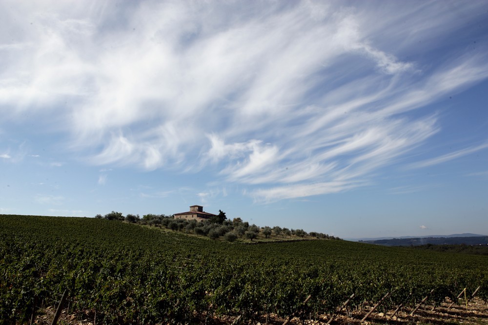 Pescini: il Chianti? Non possiamo ampliarlo a piacere…