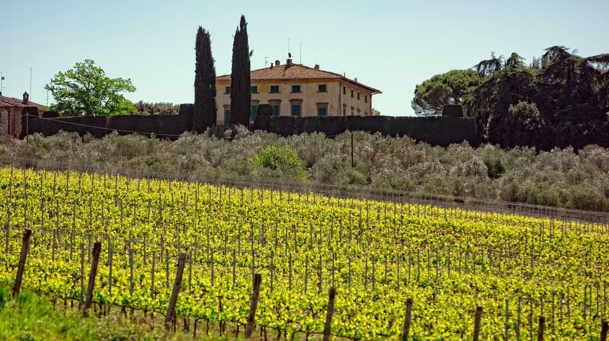 Grazie ad un’antica fornace alla Fattoria  Montecchio  torna il vino ‘in anfora’