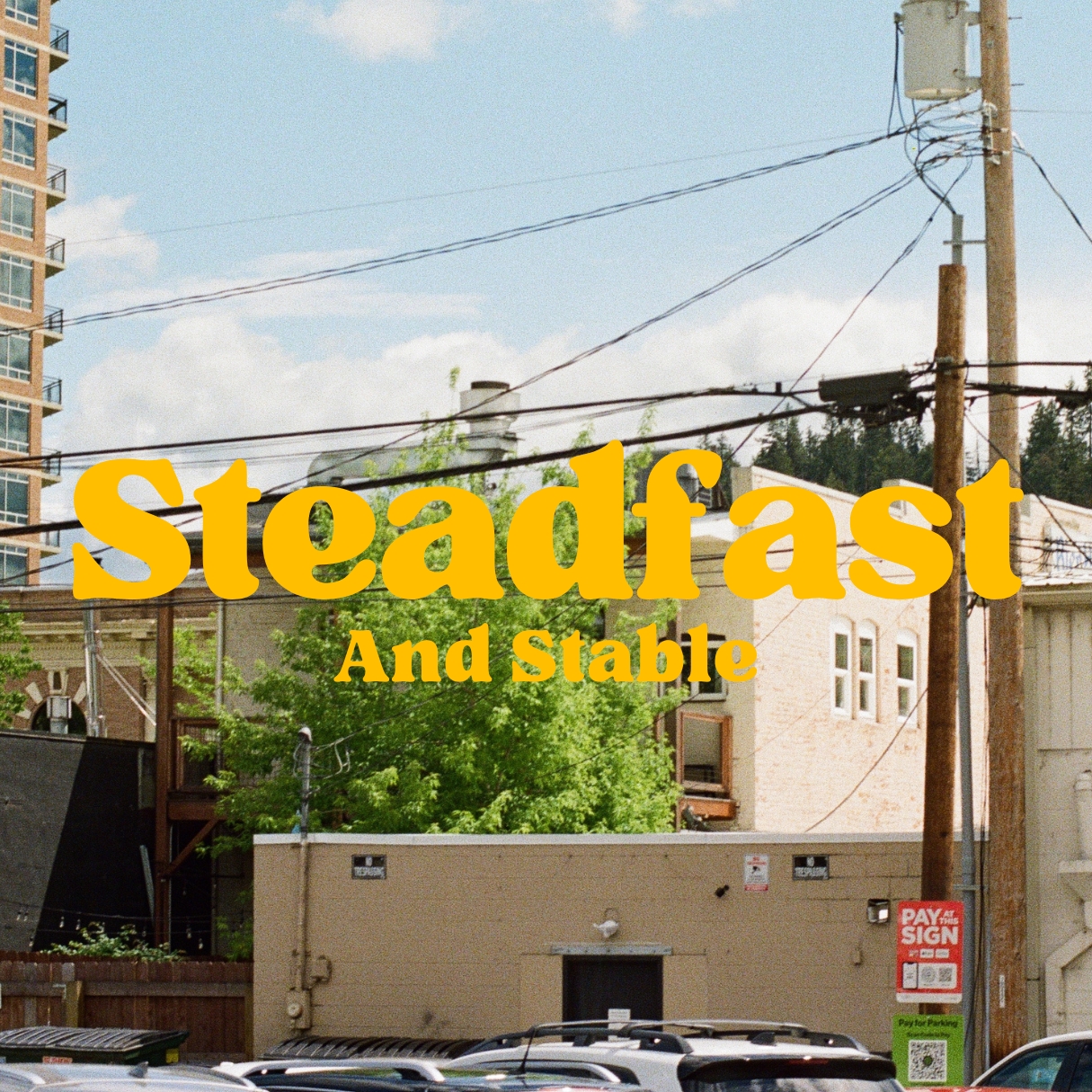 Steadfast and Stable | Chris Lauri
