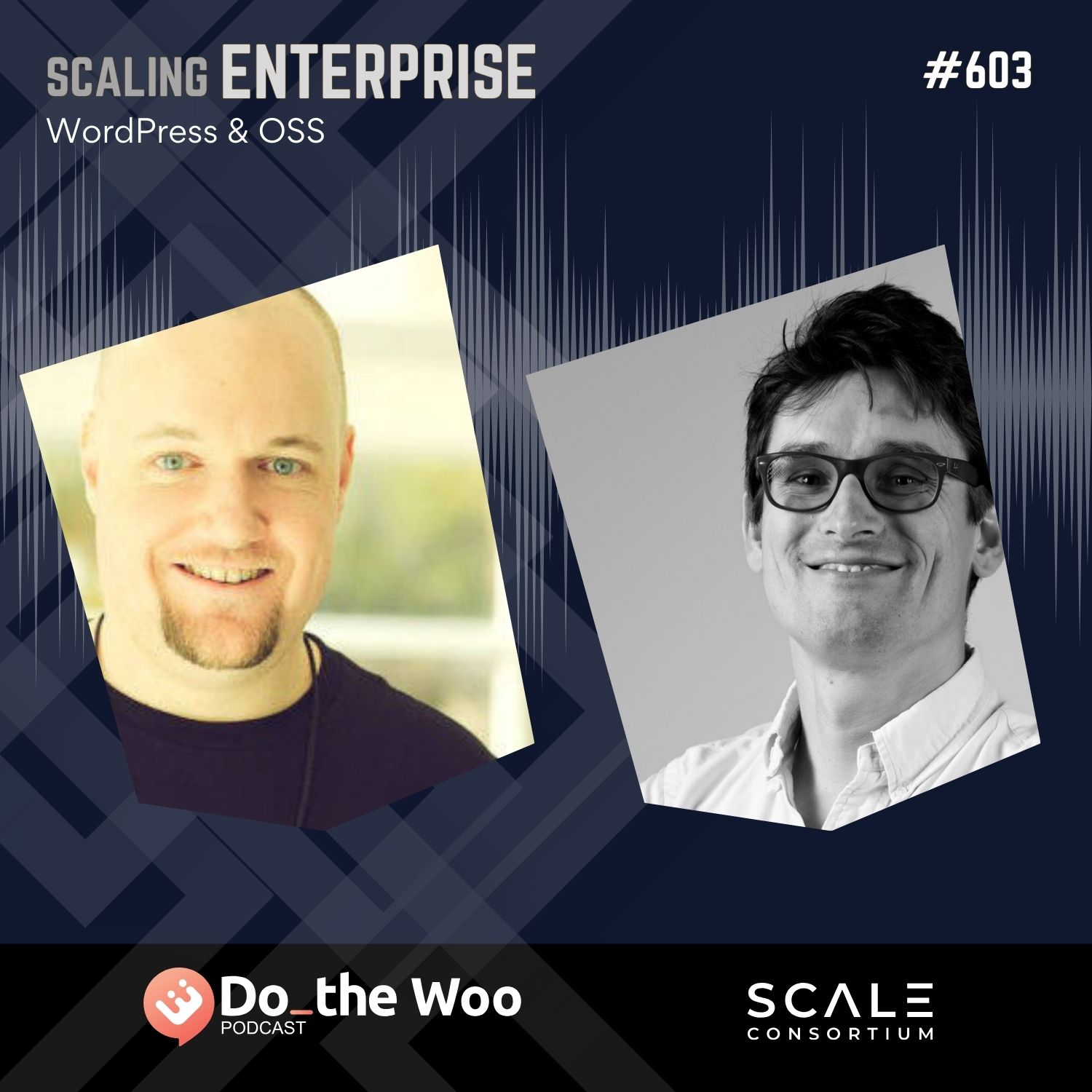 State of Enterprise WordPress 2024 Report with Brad Williams and Tom Willmot