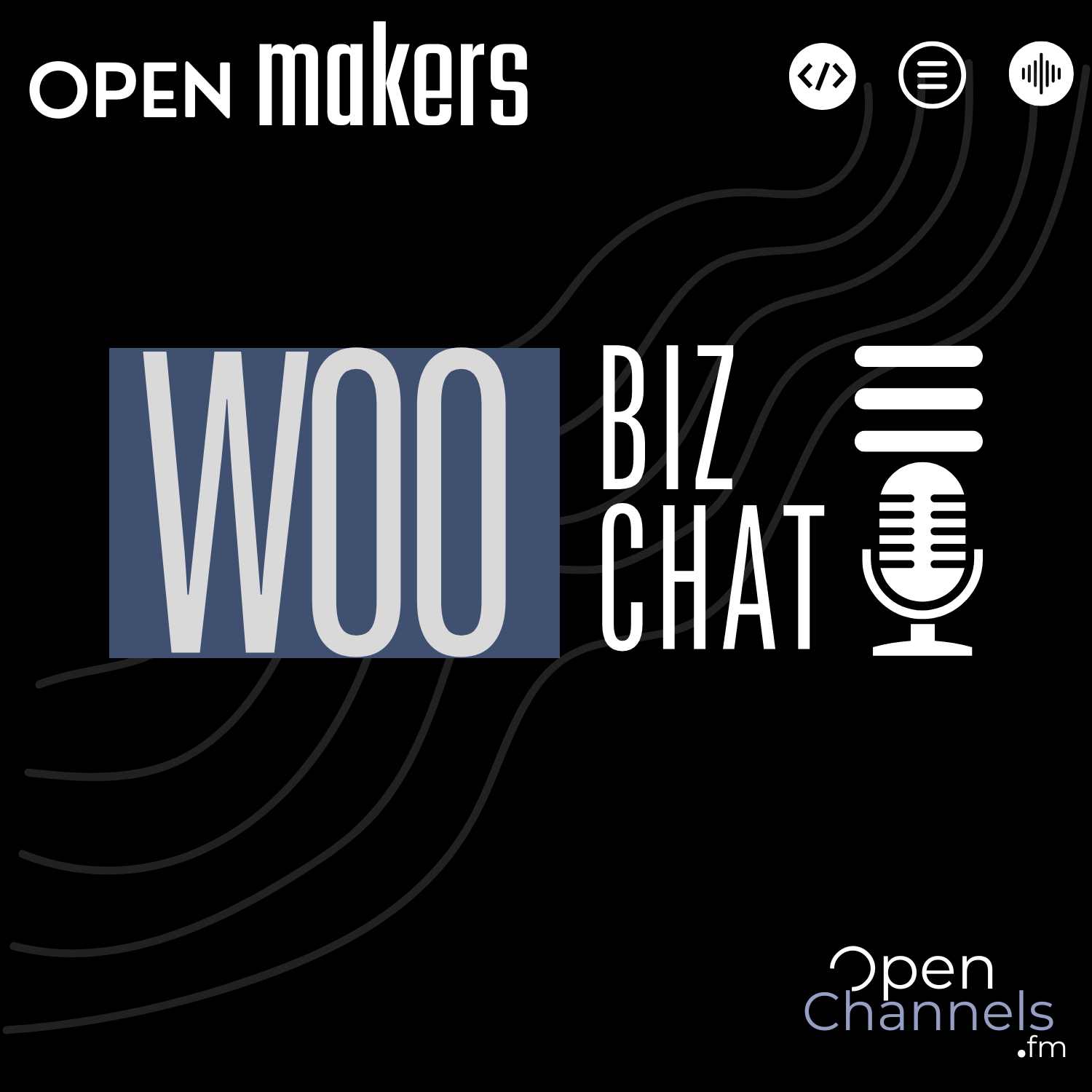 Pricing, Partnerships & Growth Strategies for WooCommerce Plugin Founders