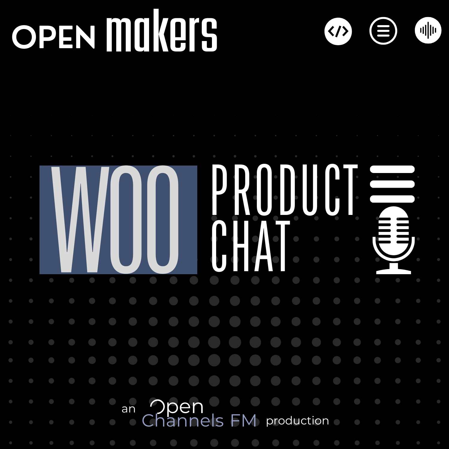 Promoting Products to WooCommerce Developers and Agencies