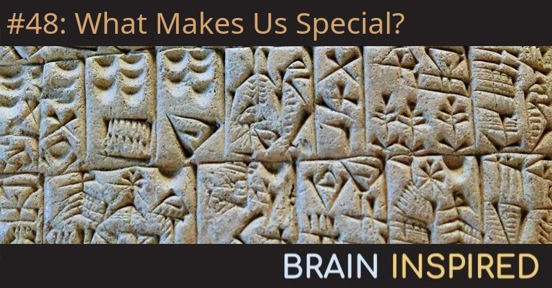 BI 048 Liz Spelke: What Makes Us Special?