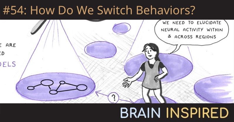 BI 054 Kanaka Rajan: How Do We Switch Behaviors?