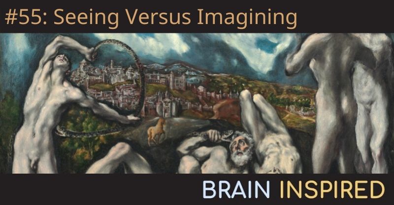 BI 055 Thomas Naselaris: Seeing Versus Imagining