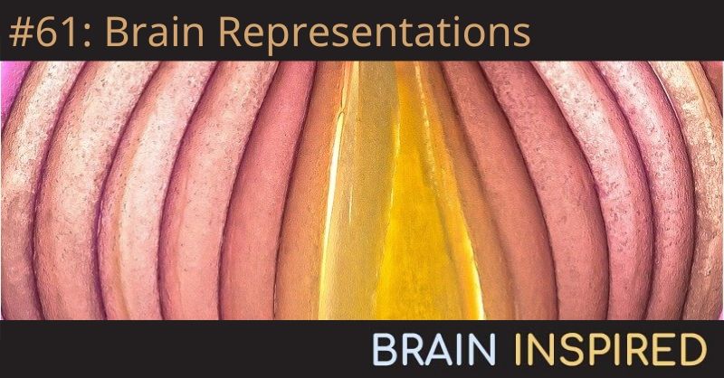 BI 061 Jörn Diedrichsen and Niko Kriegeskorte: Brain Representations