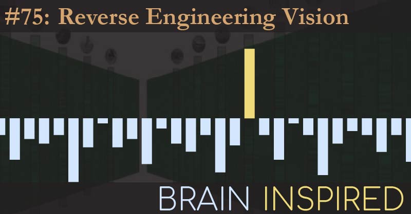 BI 075 Jim DiCarlo: Reverse Engineering Vision