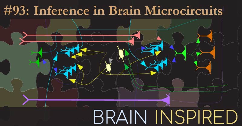 BI 093 Dileep George: Inference in Brain Microcircuits