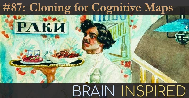 BI 087 Dileep George: Cloning for Cognitive Maps