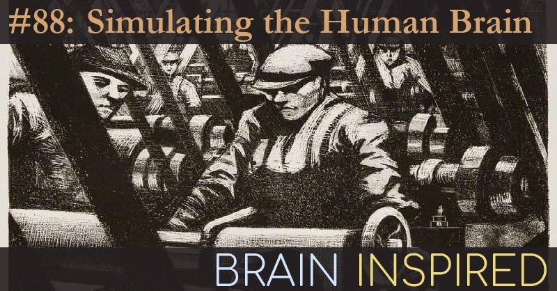 BI 088 Randy O'Reilly: Simulating the Human Brain