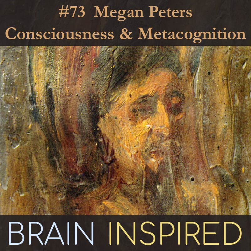 BI 073 Megan Peters: Consciousness and Metacognition