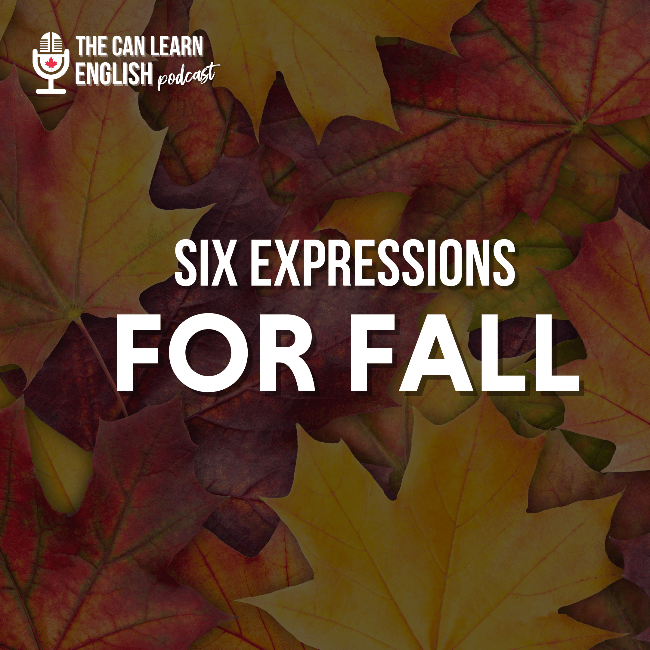 075 - Six Fun Expressions for Fall