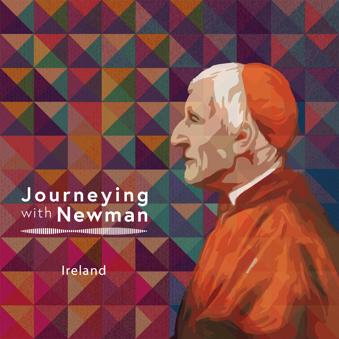 Newman On Ireland
