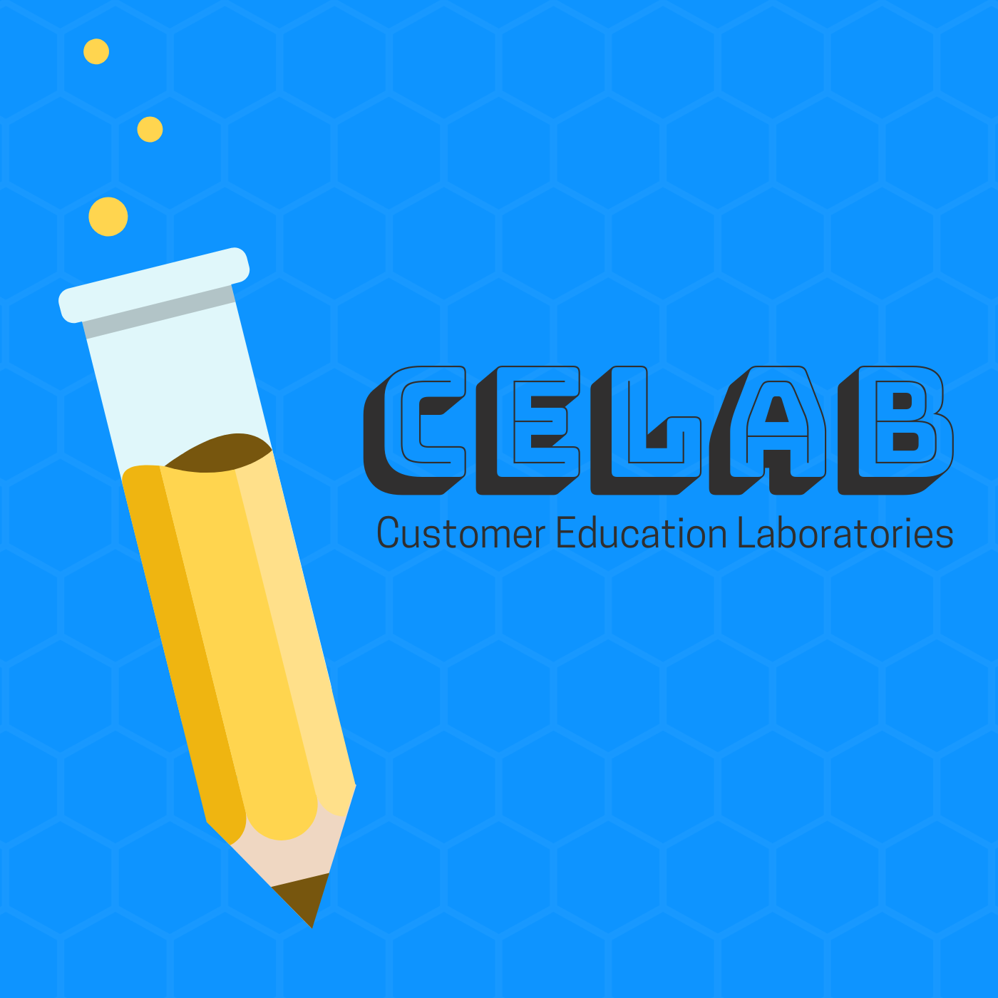 CELab Customer Education - Success Series