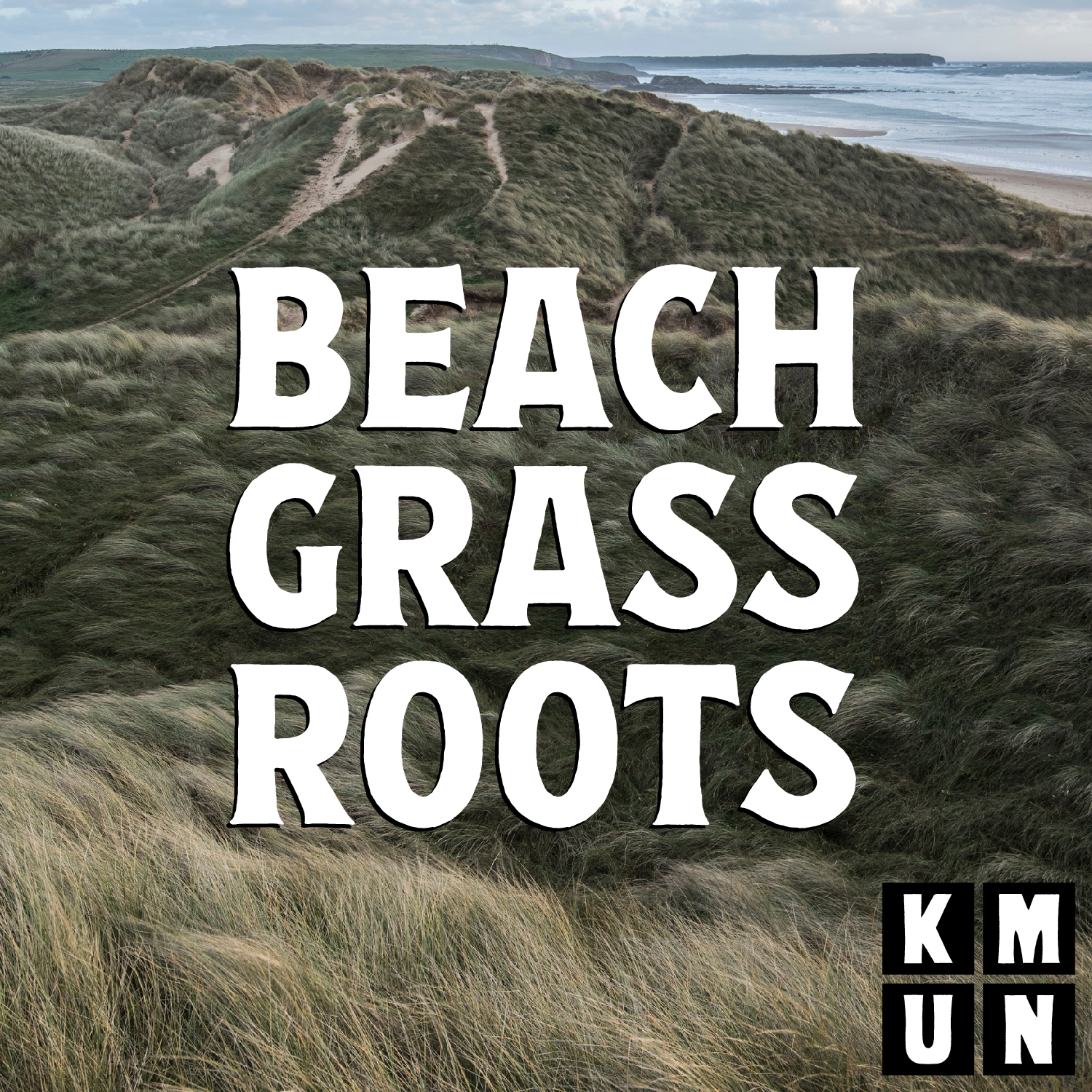 Beach Grass Roots