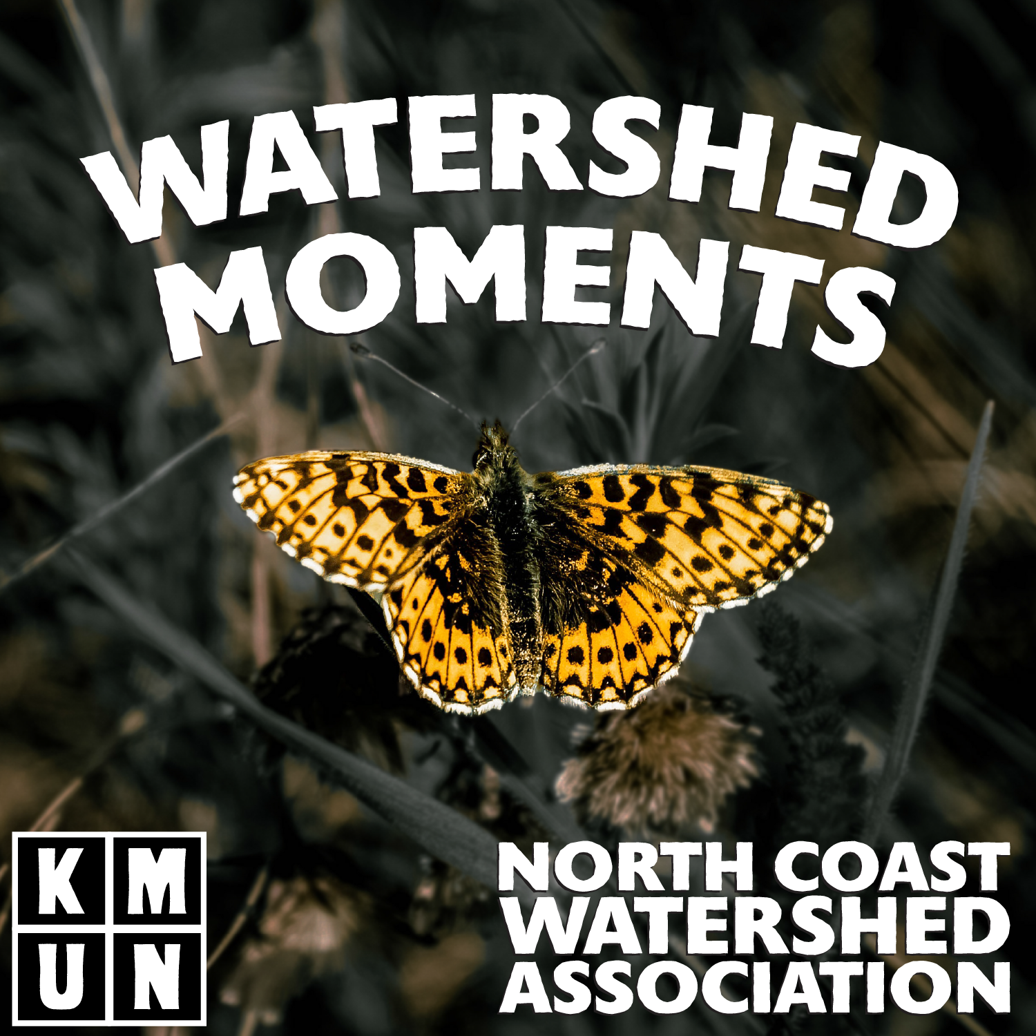 Watershed Moments August 26th, 2024