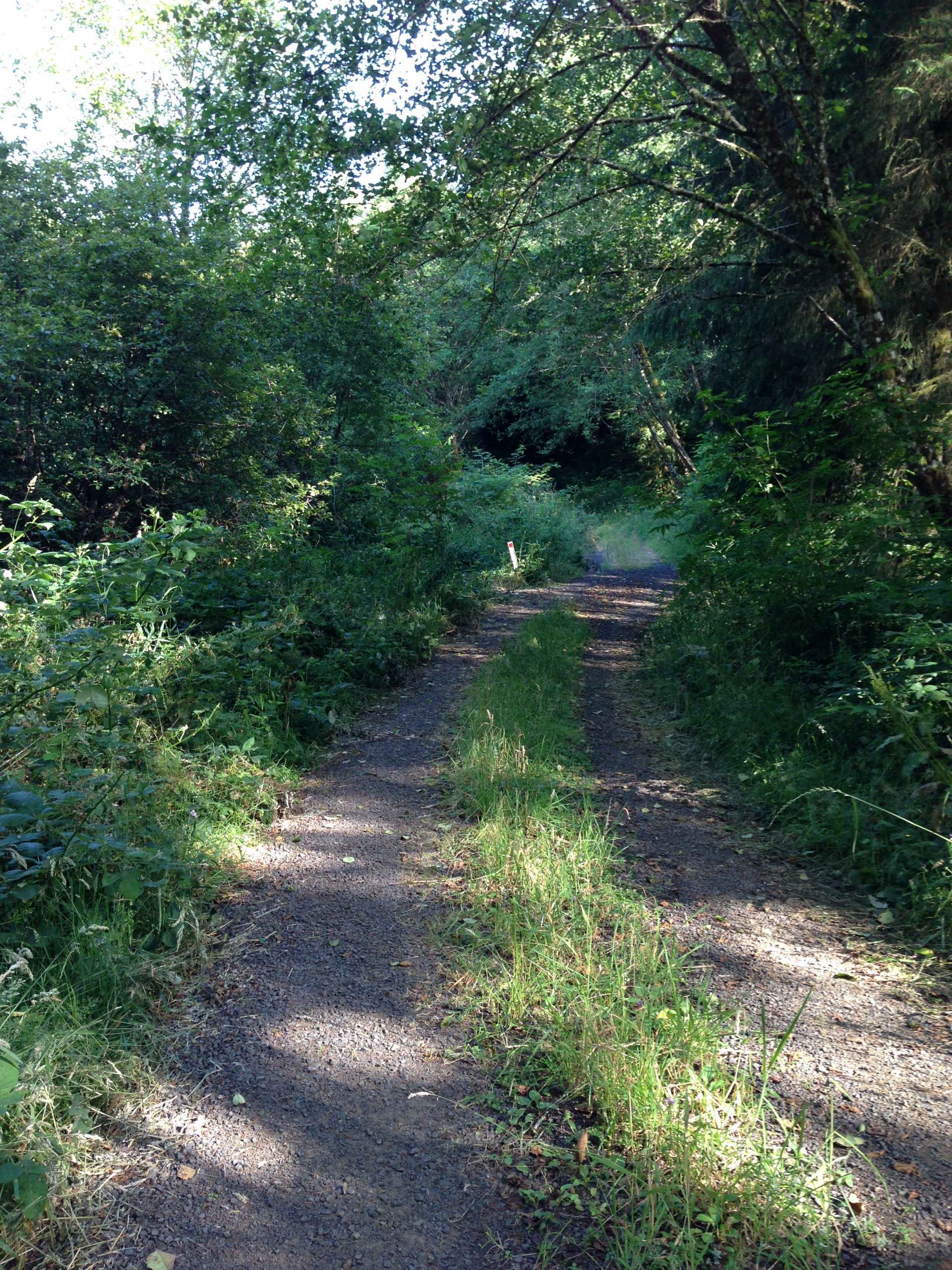 LOCAL NEWS: Rural Internet Series - A look at internet access in rural Clatsop County