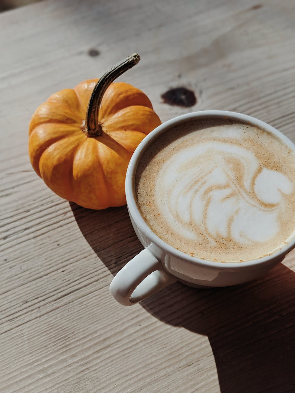 What Do Halloween Costumes & Pumpkin Spice Have In Common? What Do Halloween Costumes & Pumpkin Spice Have In Common?