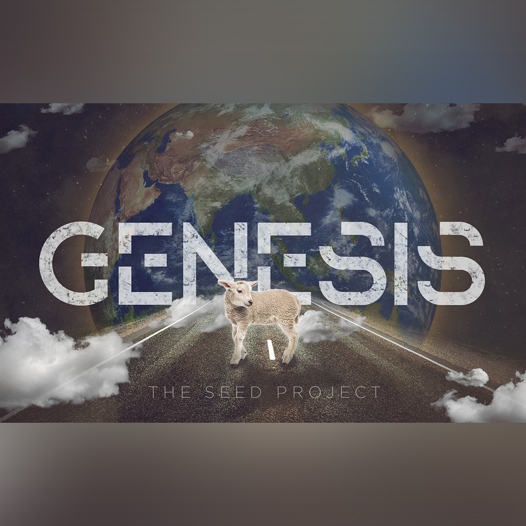 Genesis Week 7