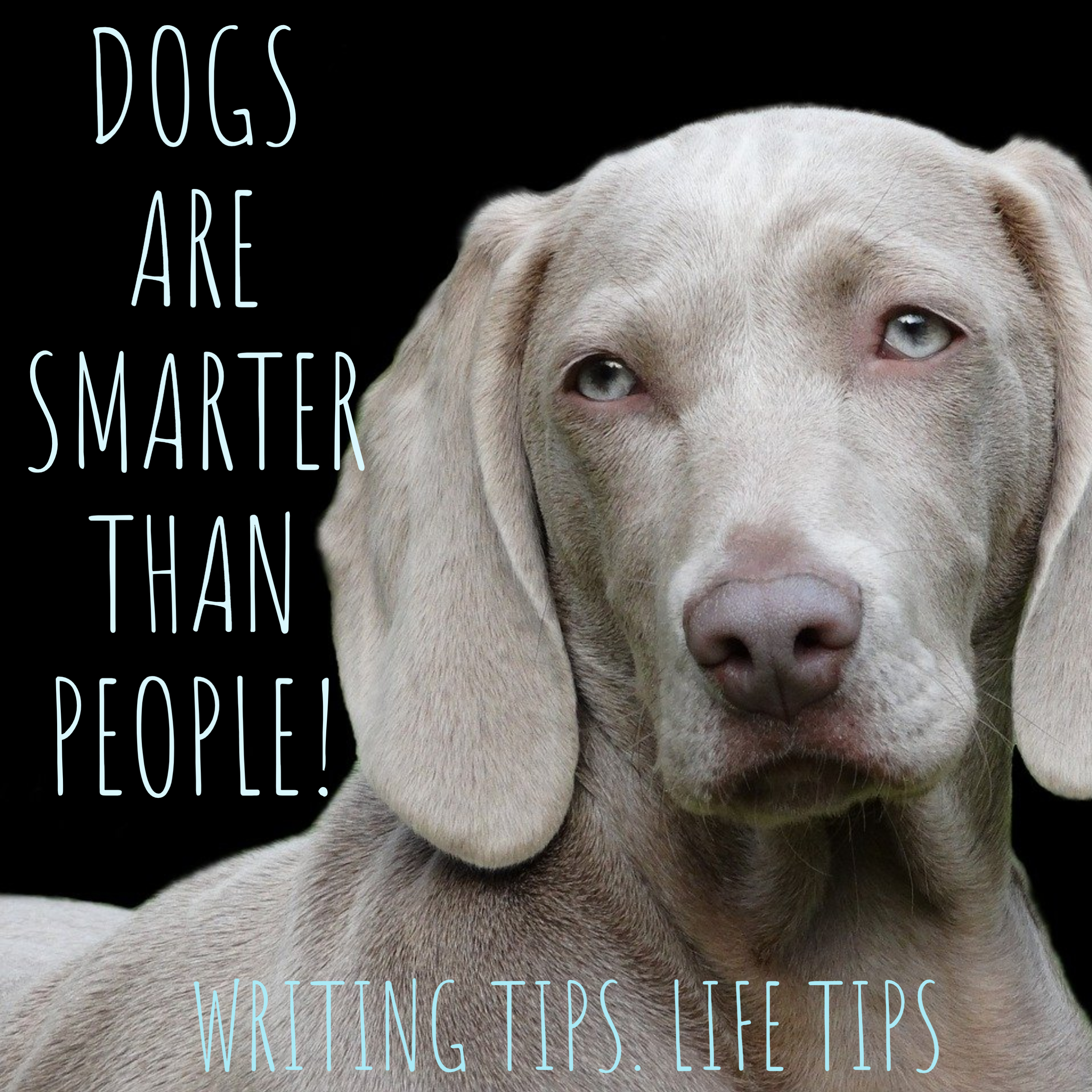 Unplug Yourself and Bark Back and Find Your Agency