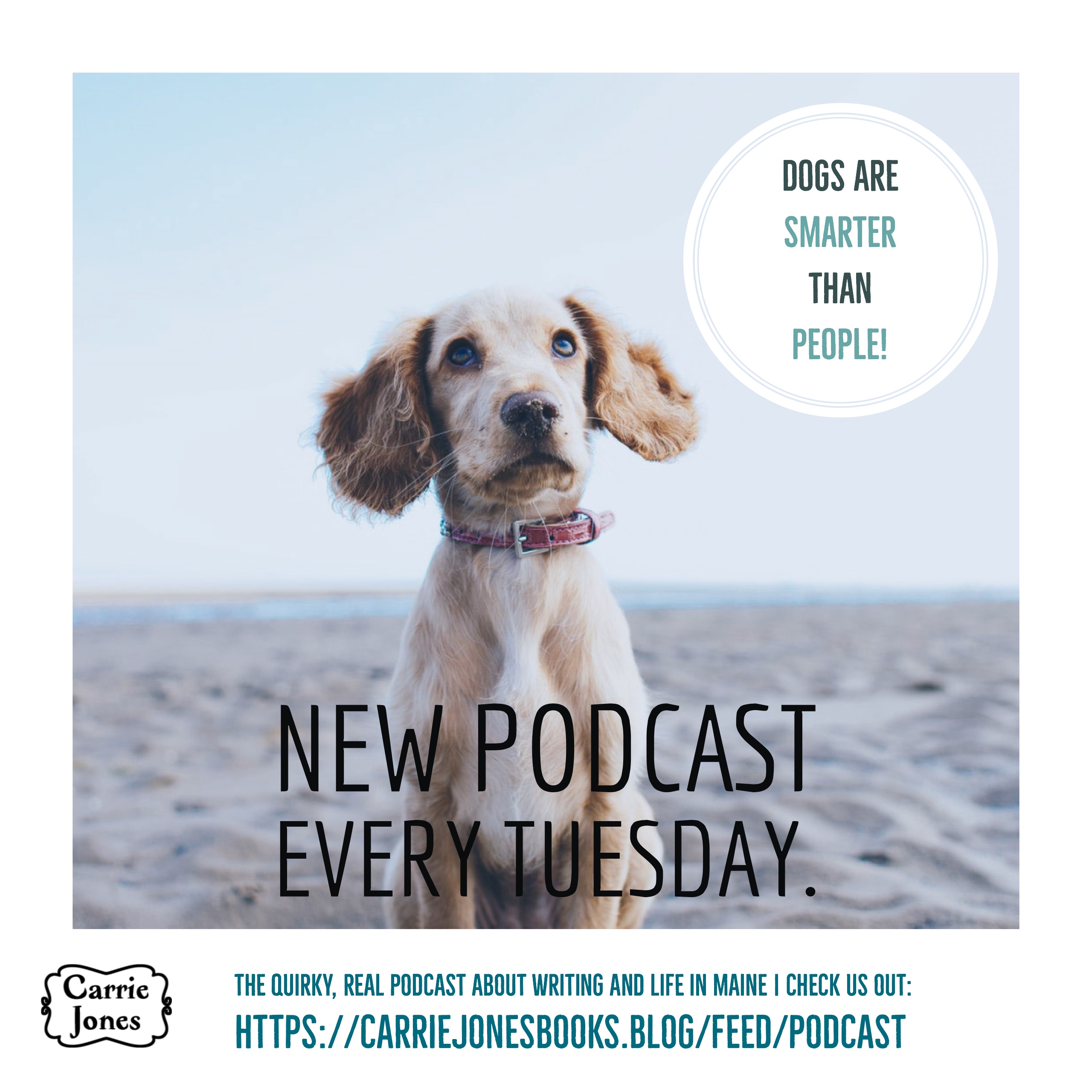 Don't Make Sucky Friends (in life and books) - Dogs are Smarter Than People Podcast