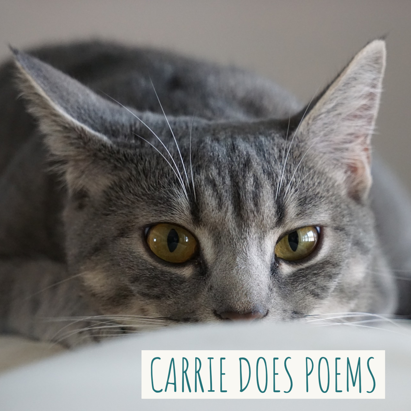 Carrie Does Poems