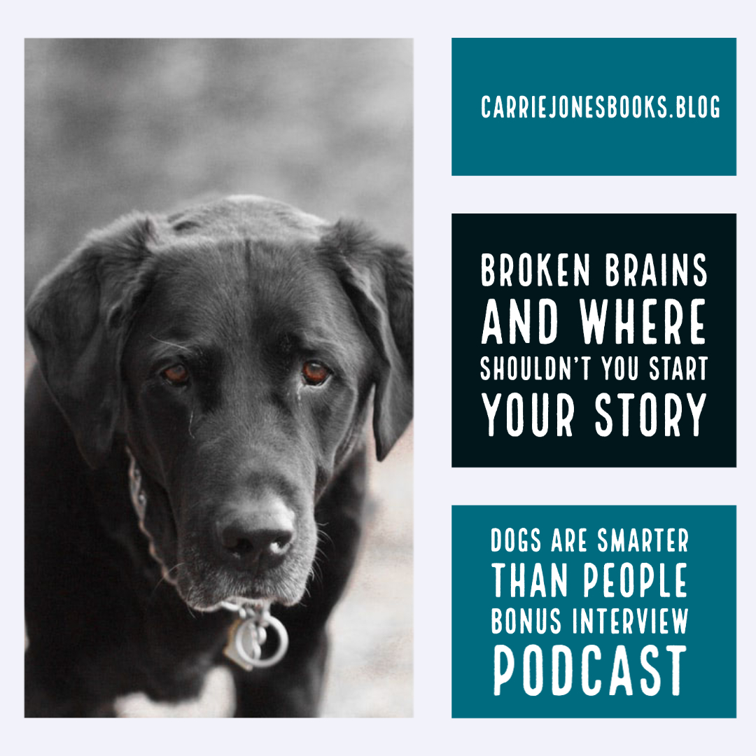 Broken Brains and Where Shouldn’t You Start Your Story